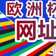 足球欧洲杯多久举办一次，足球欧洲杯多久举办一次啊