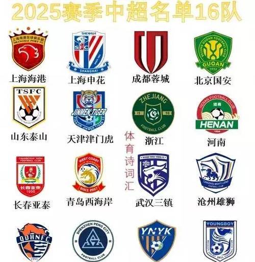 中甲中乙中超有什么区别，中超 中甲 中乙 中冠