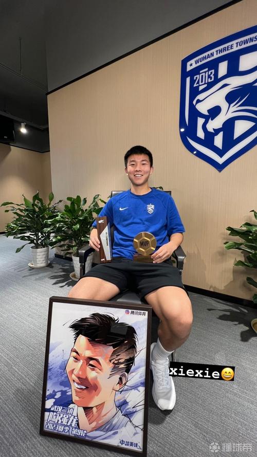 陶强龙为踢碎角旗杆道歉，陶强龙什么时候复出