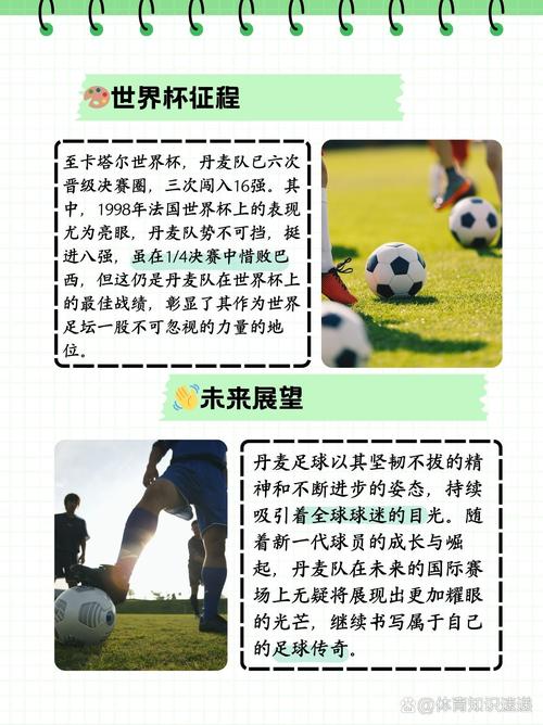 丹麦足球队成员名单照片，丹麦足球队成员名单照片图片？